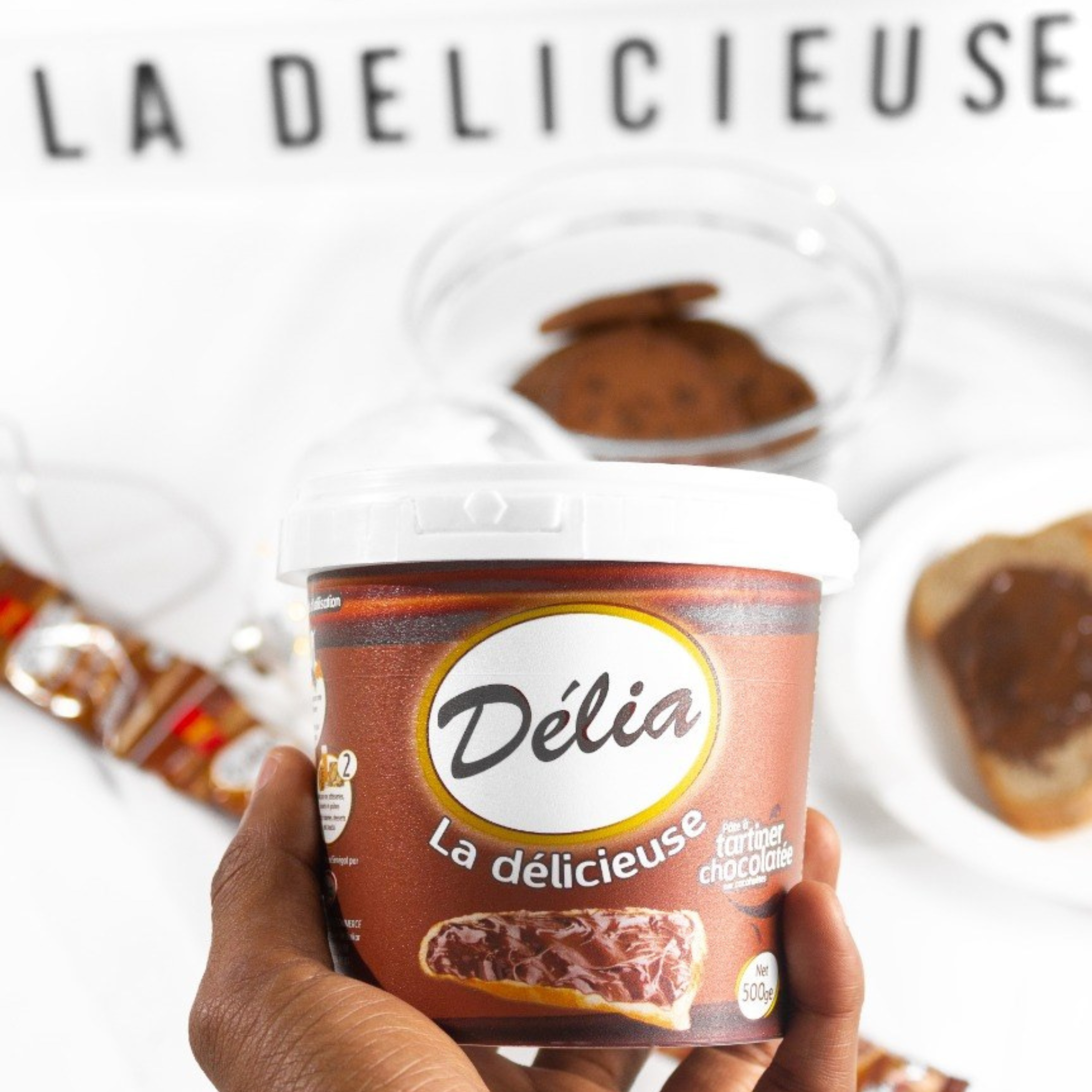 Pâte à Tartiner Chocolat-Arachide DÉLIA / 12 x 500g