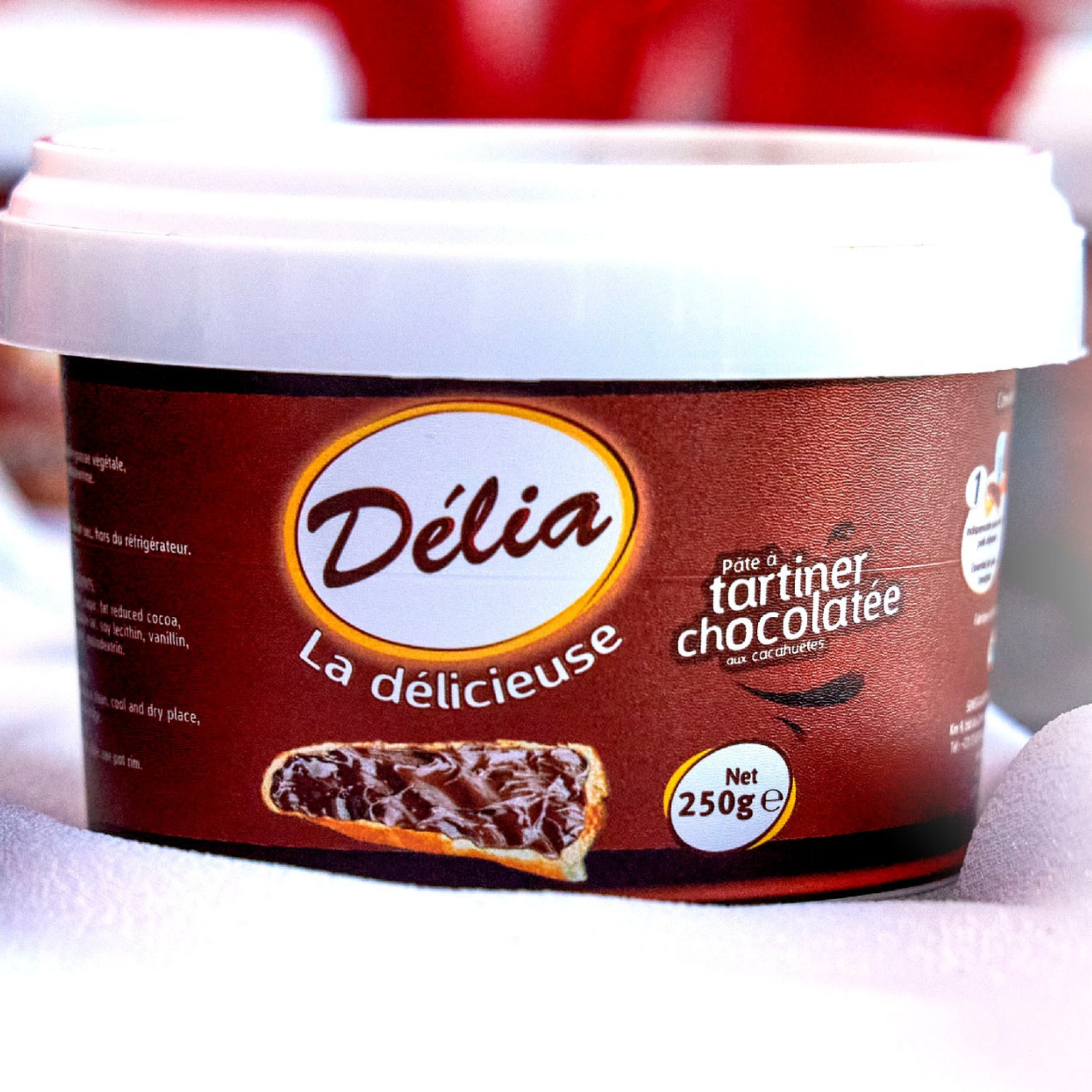 Pâte à Tartiner Chocolat-Arachide DÉLIA / 12 x 250g