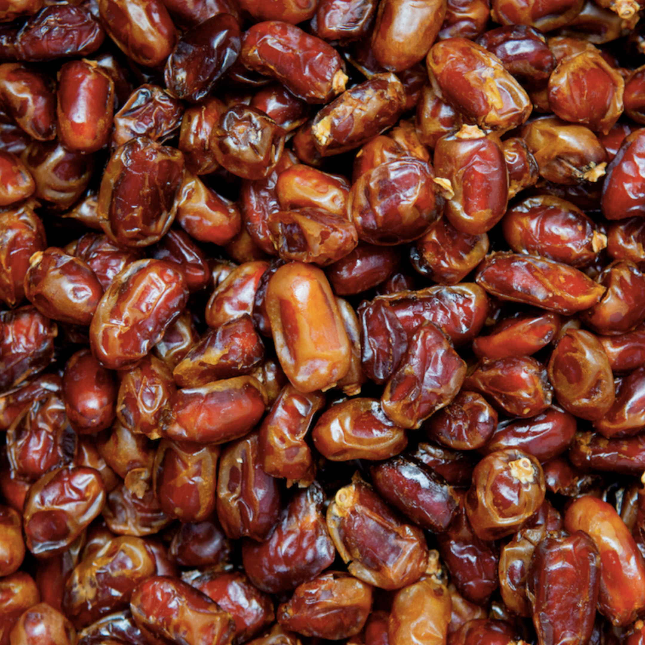 Dattes Kholas Biologiques (Avec Noyaux) / 5 Kg  